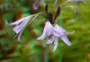 DSC_5165s.JPG