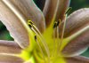 DSC_5282s.JPG